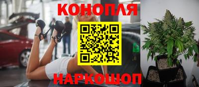 Альфа ПВП Коммунар