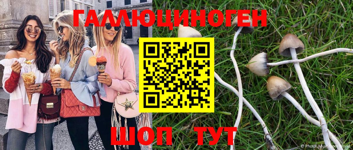 Касимов  Галлюциногенные грибы мицелий  Вход с VPN 